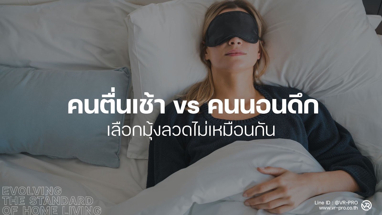 เลือกมุ้งลวด